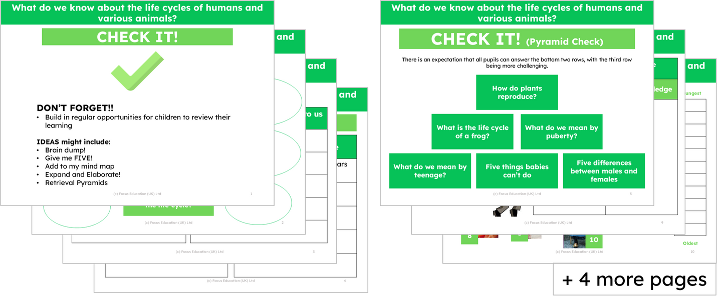 Science Y5: What do we know about the life cycles of humans and various animals?