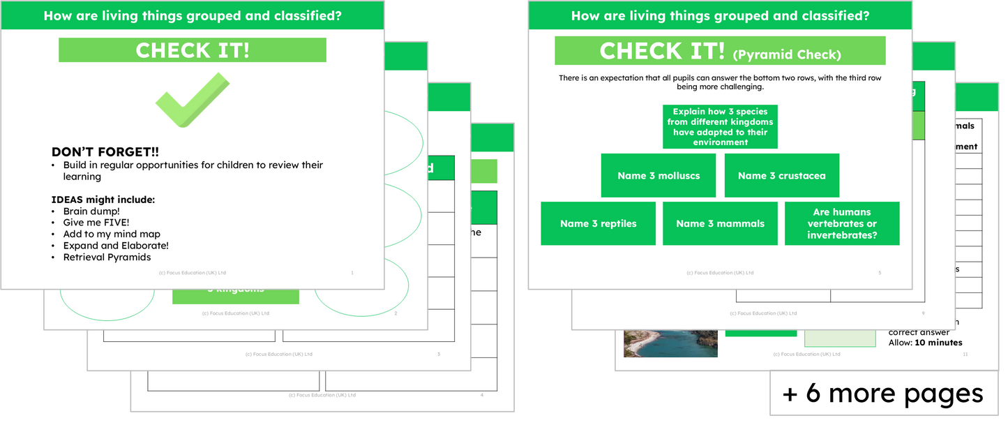 Science Y6: How are living things grouped and classified?