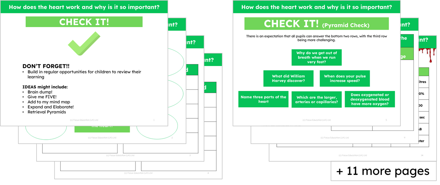 Science Y6: How does the heart work and why is it so important?