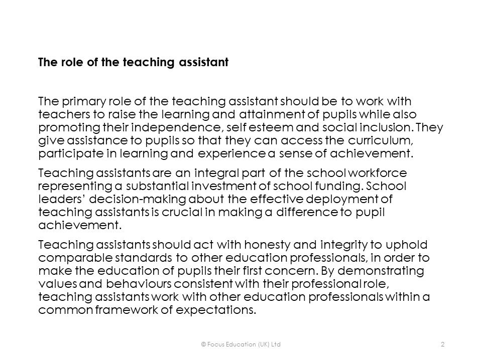 Professional Standards for Teaching Assistants (Focus Mini)