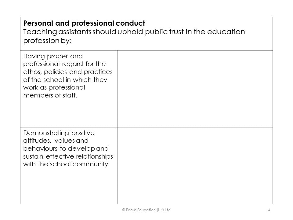 Professional Standards for Teaching Assistants (Focus Mini)