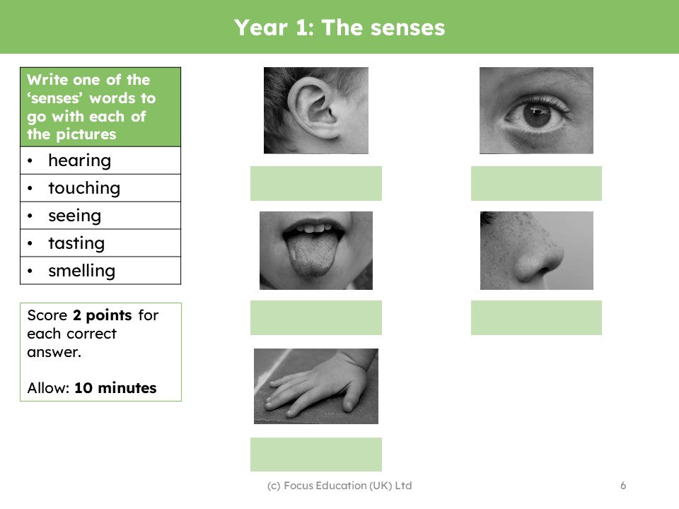 Retrieval Examples Specific to Science