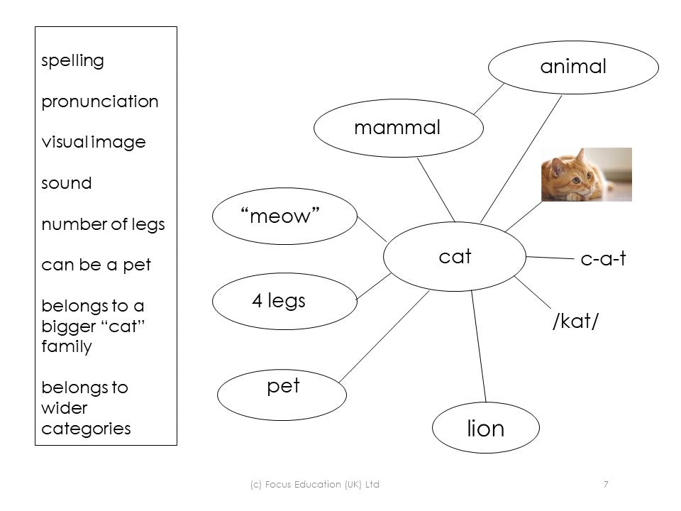 Teaching Vocabulary