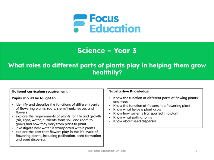 Science Y3: What part do different parts of plants play to help them grow healthily?