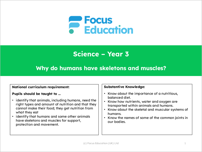 Science Y3: Why do humans have skeletons and muscles?