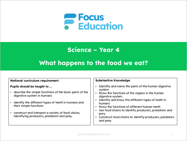 Science Y4: What happens to the food we eat?