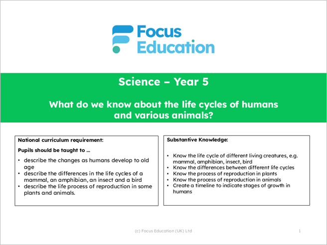 Science Y5: What do we know about the life cycles of humans and various animals?