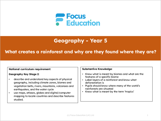 Geography Y5: What creates a rainforest and why are they located where they are?