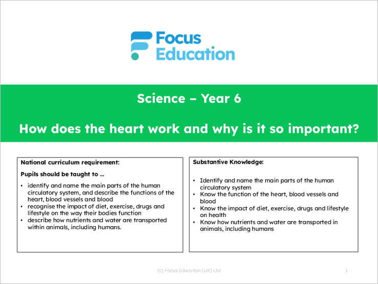 Science Y6: How does the heart work and why is it so important?