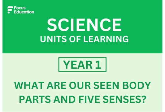 Science Y1: What are our seen body parts called and what are the five senses?