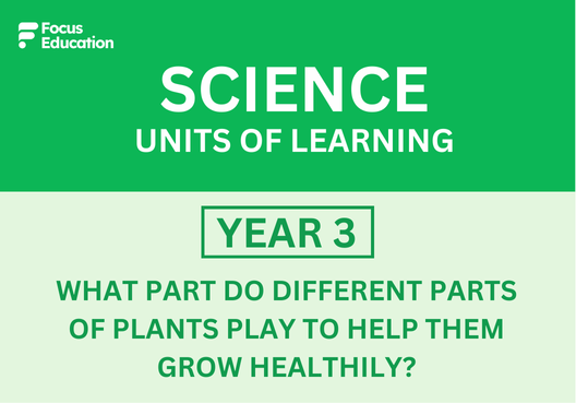 Science Y3: What part do different parts of plants play to help them grow healthily?