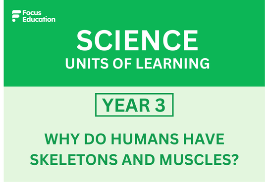 Science Y3: Why do humans have skeletons and muscles?