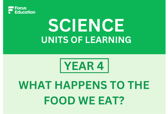 Science Y4: What happens to the food we eat?