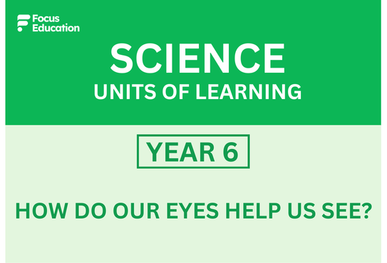 Science Y6: How do our eyes help us see?