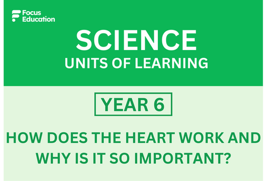 Science Y6: How does the heart work and why is it so important?